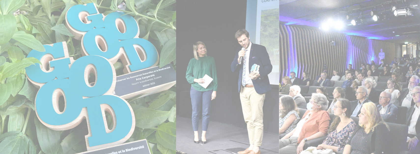 Ecotone, winner of the Good Economy Award!